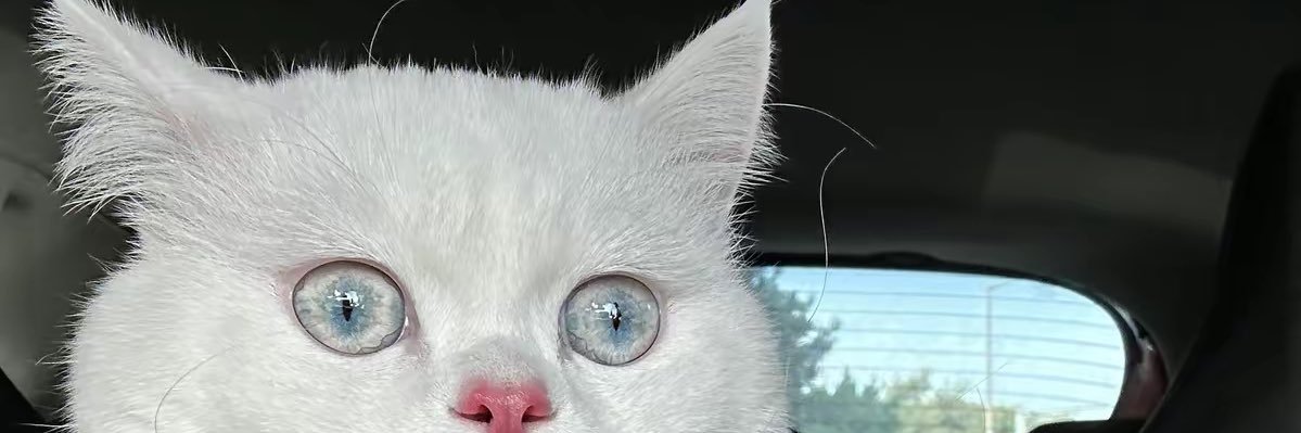nihatizme's profile banner image