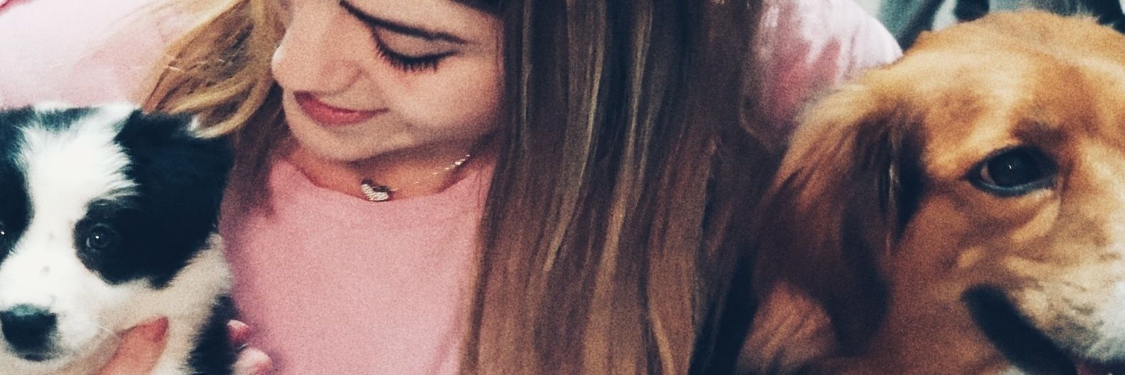 LidiaBeatles's profile banner image