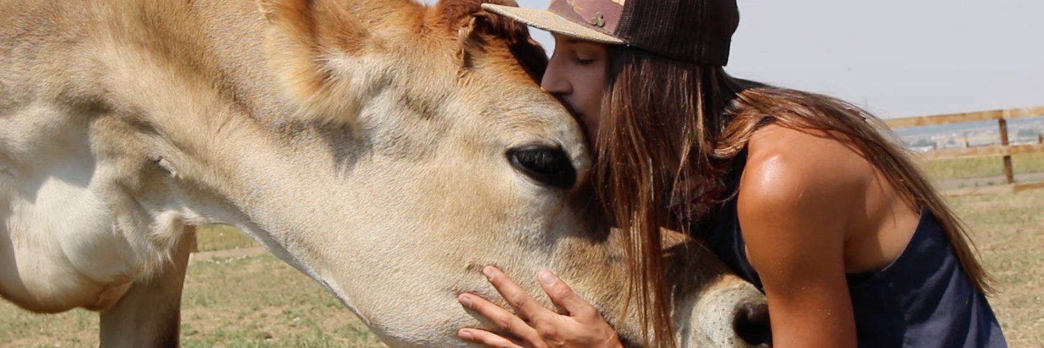 Luvin Arms Animal Sanctuary banner