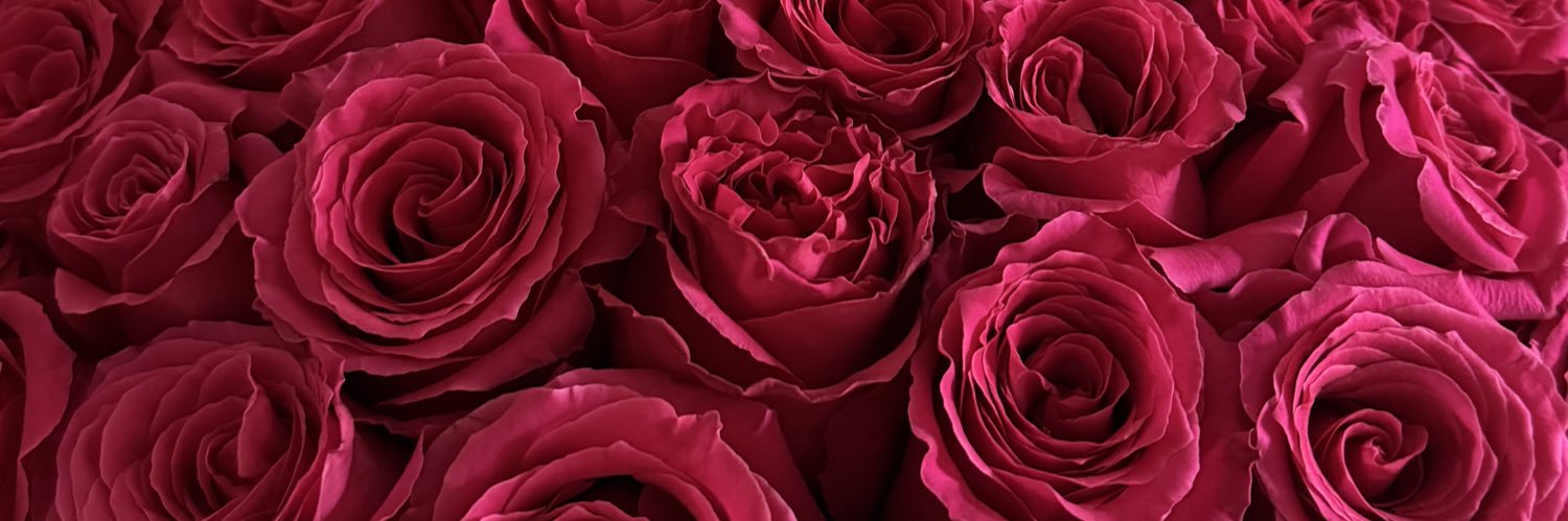 tilan____milan's profile banner image