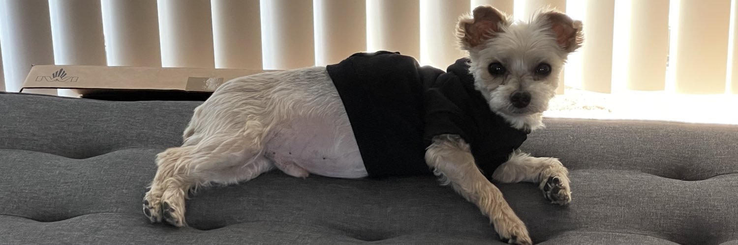 a_klein_'s profile banner image