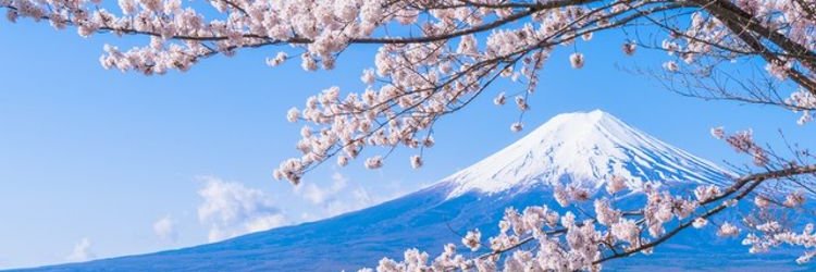 bjfaubd's profile banner image