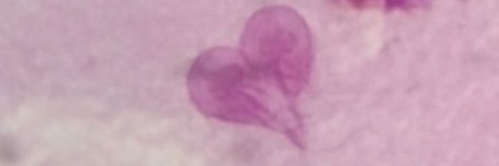 Mmmmmmarce's profile banner image