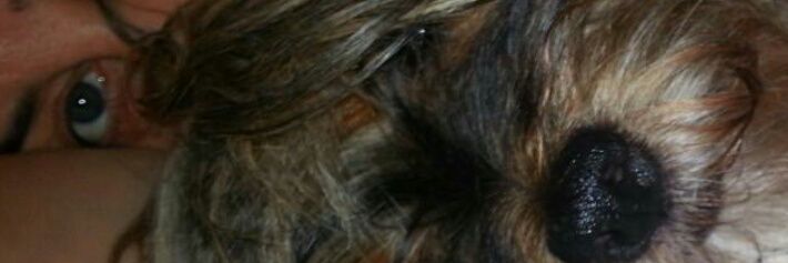 mammetta73's profile banner image