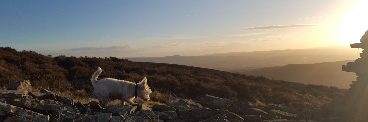 emma7090's profile banner image