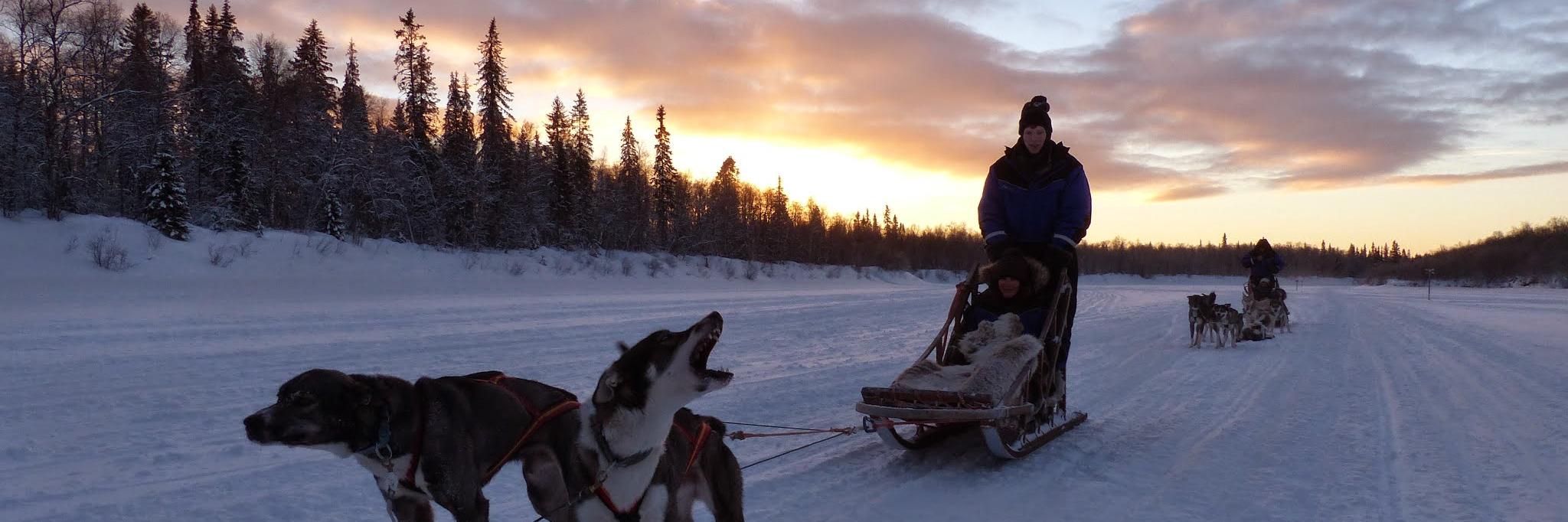 aaronforward's profile banner image
