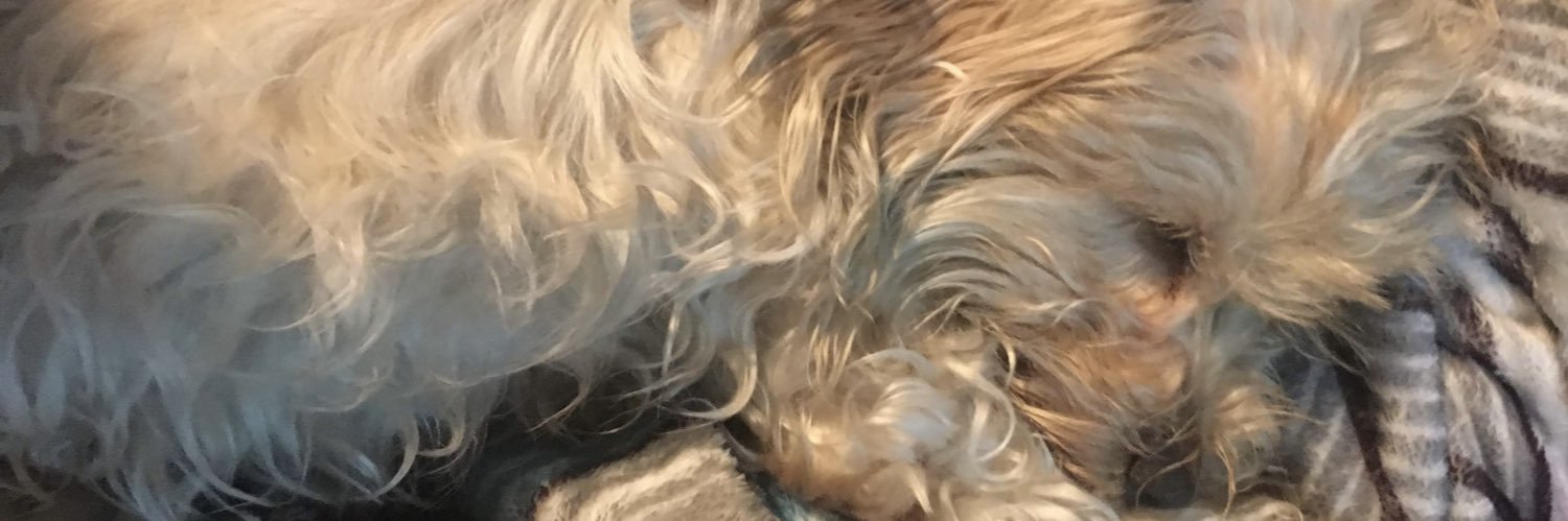KITHKT's profile banner image