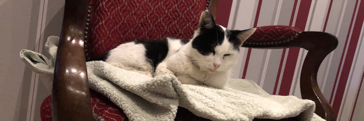 J. Larroque 🇫🇷🇪🇺🇺🇦🇮🇱 banner