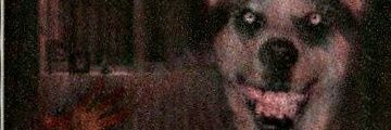 AlexGul666's profile banner image