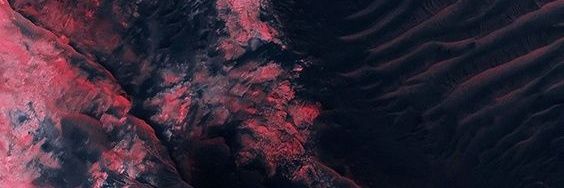Senzuna's profile banner image