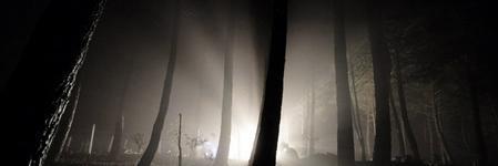 timidosin's profile banner image