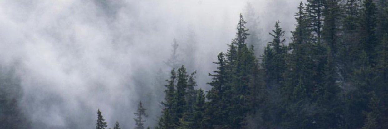 fantasyaga's profile banner image