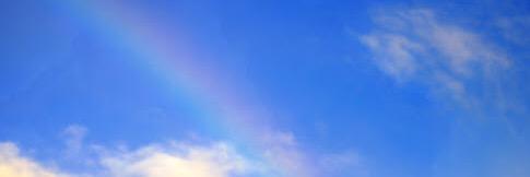 mypearlshell's profile banner image