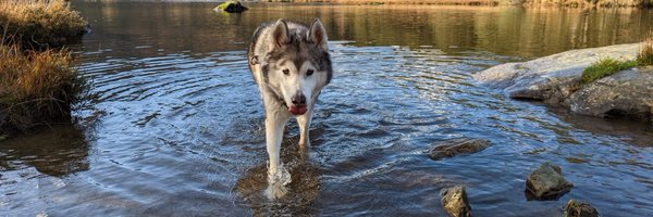 cmcoach1 Profile Banner