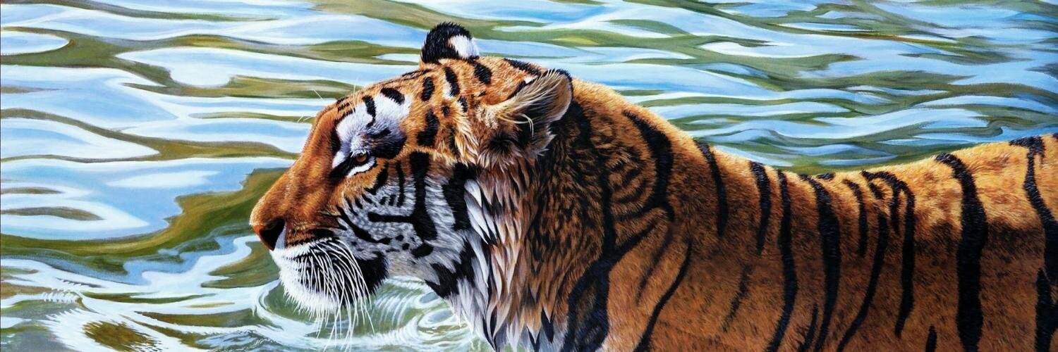 Twitter banner for @Seals