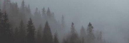 ekkaguevarra's profile banner image