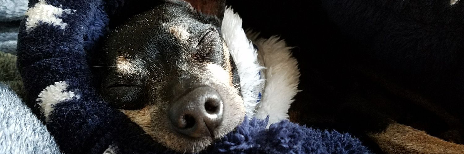 AzuPins's profile banner image