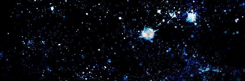 Selene_dreams's profile banner image