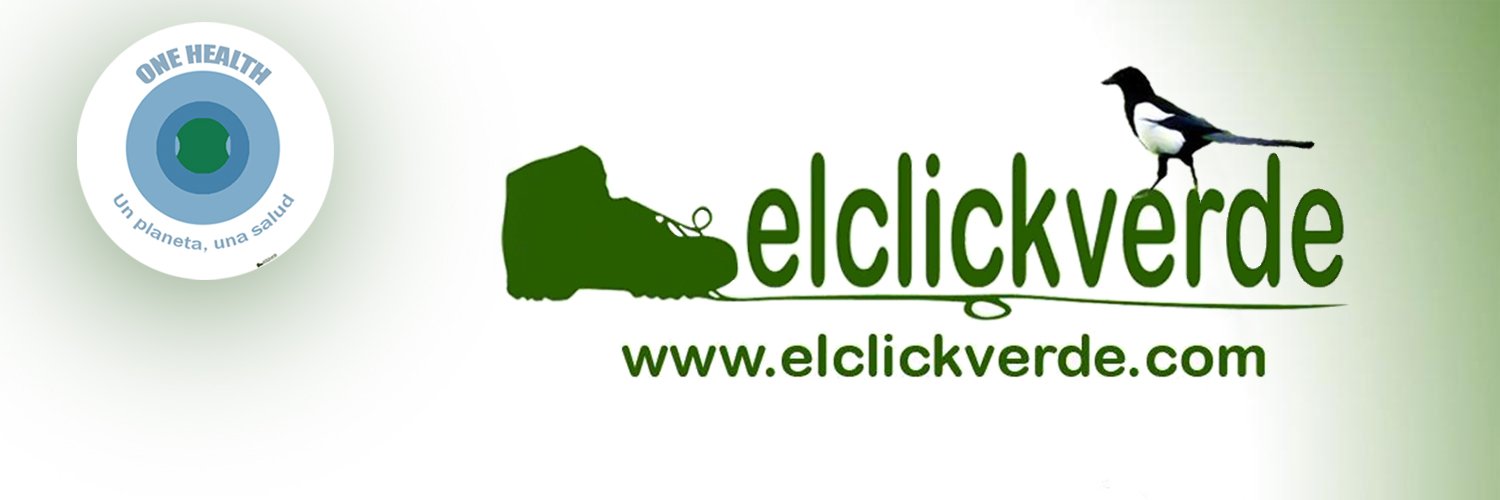 Elclickverde banner