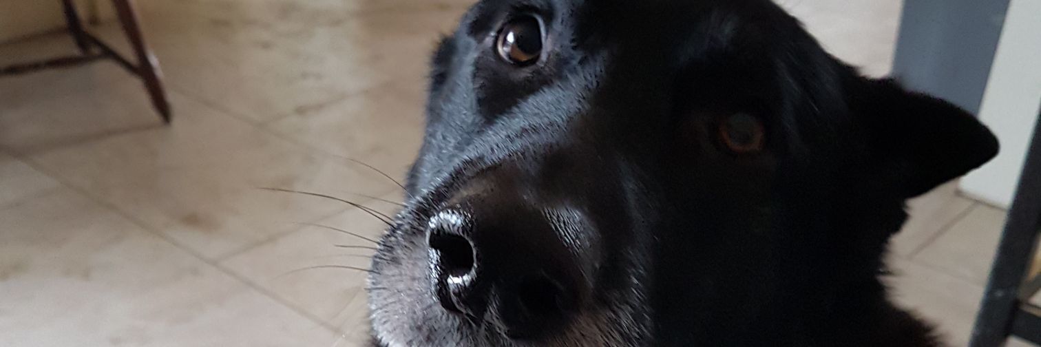 LettyReidy's profile banner image