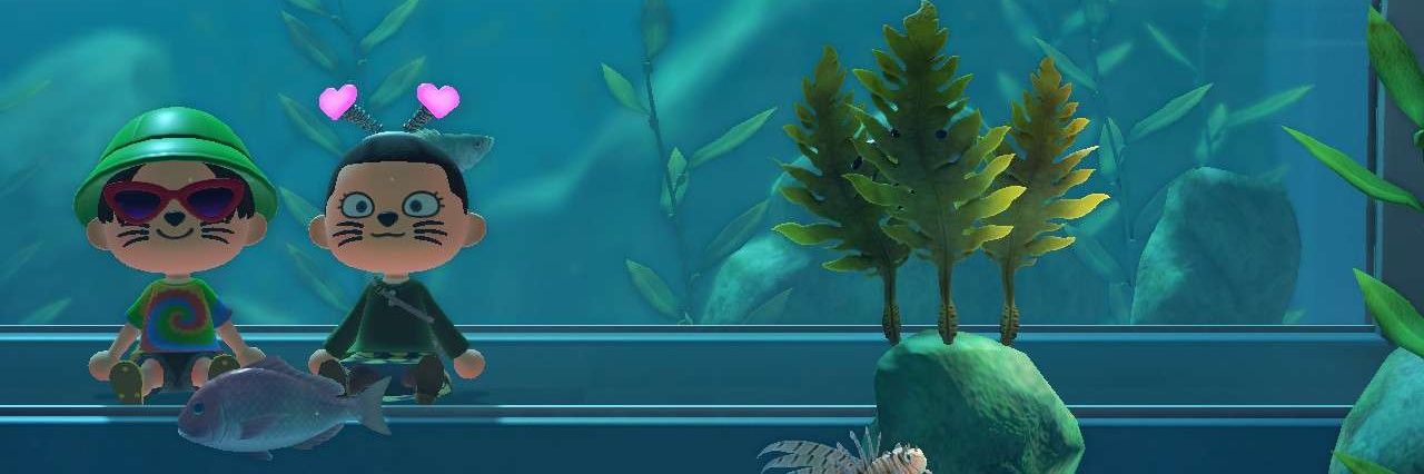 Croc0bot's profile banner image