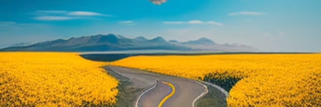 baldocedo's profile banner image