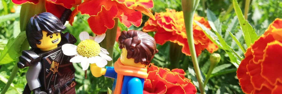 yav_han's profile banner image