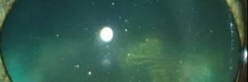 belixyz's profile banner image