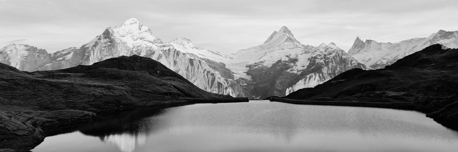 Paul Williams banner