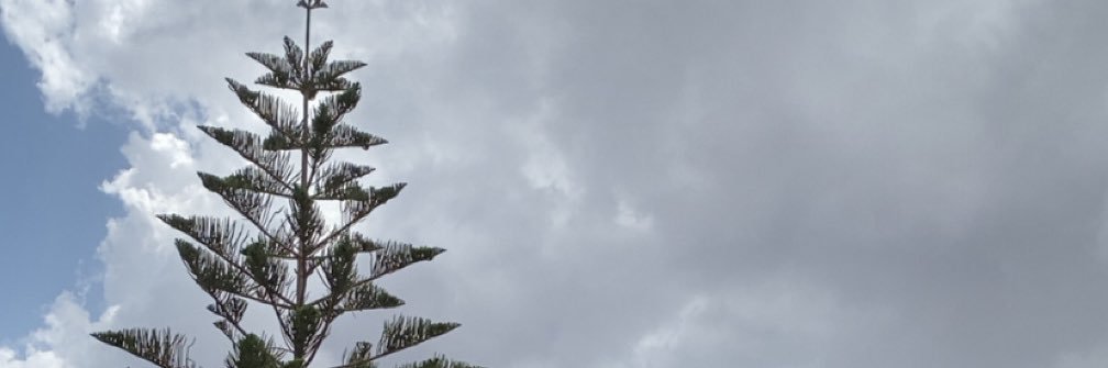 nn1bb5blue's profile banner image