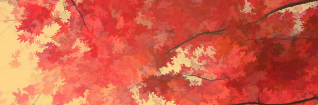 SwiftytheTurtle's profile banner image