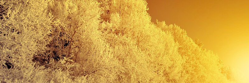 jdduvalauthor's profile banner image