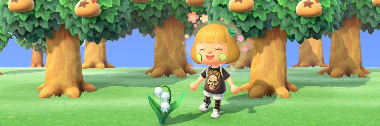 chioimoimo's profile banner image