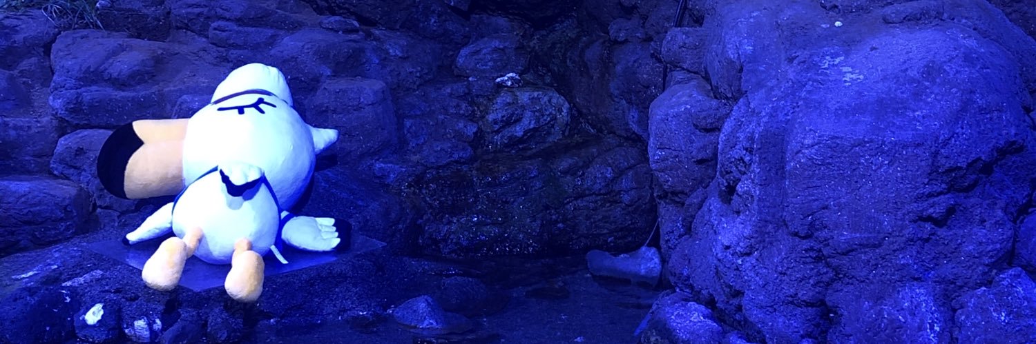 siiro22's profile banner image