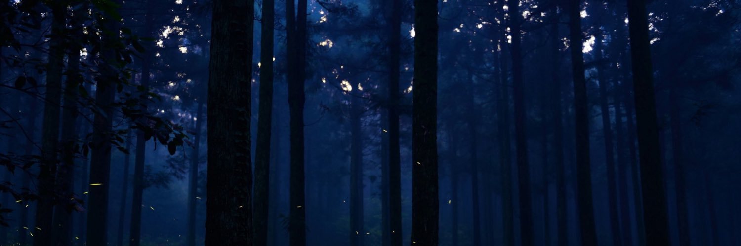 kidult486's profile banner image