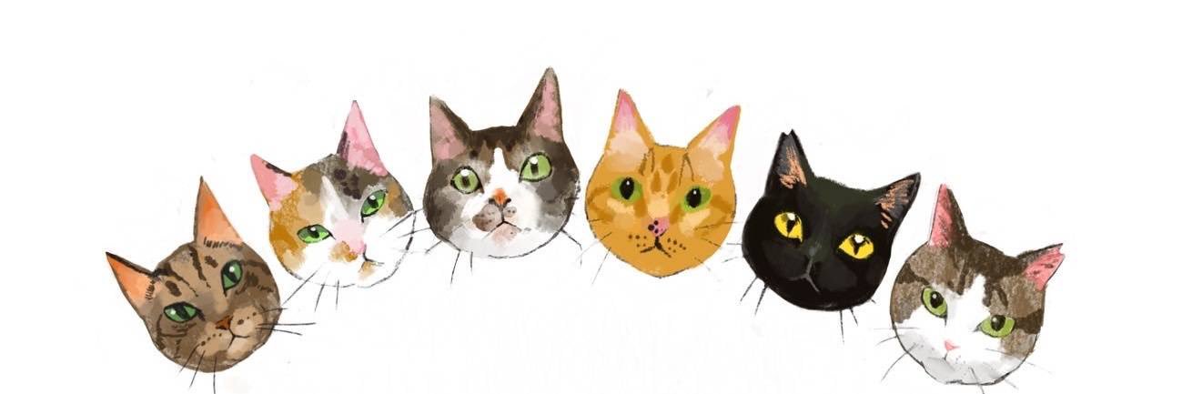 dear_cat_cafe's profile banner image
