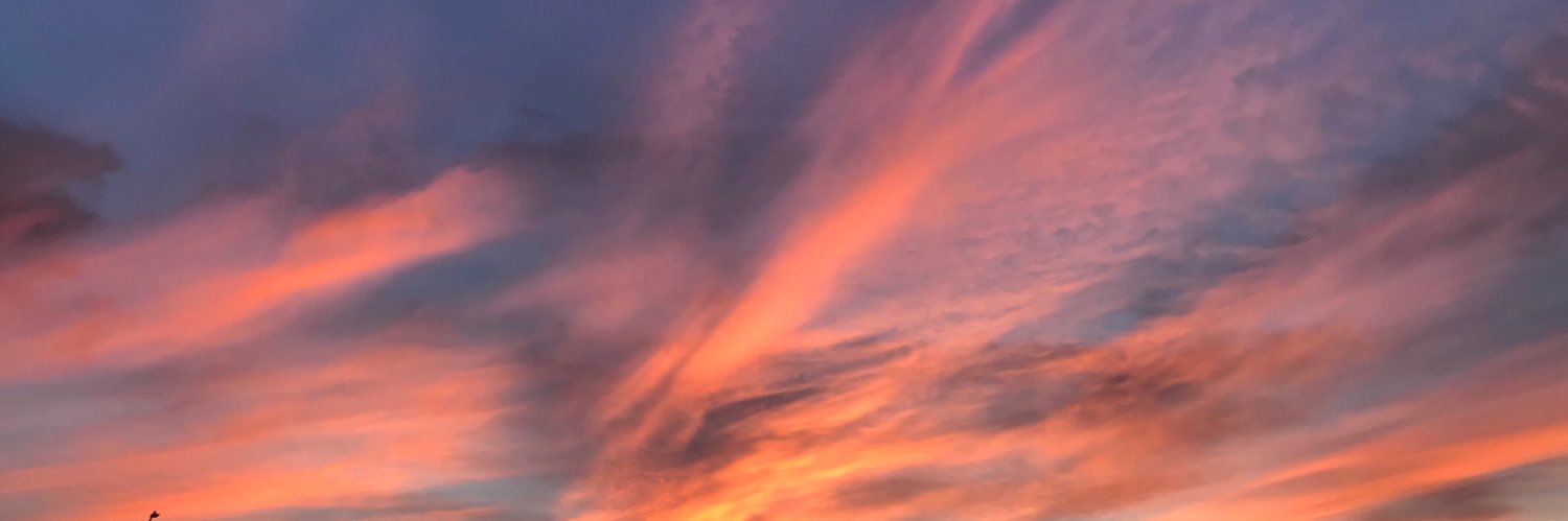 BehnkeMercedes's profile banner image