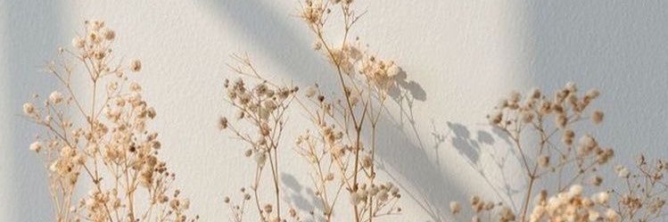 flash_nn's profile banner image