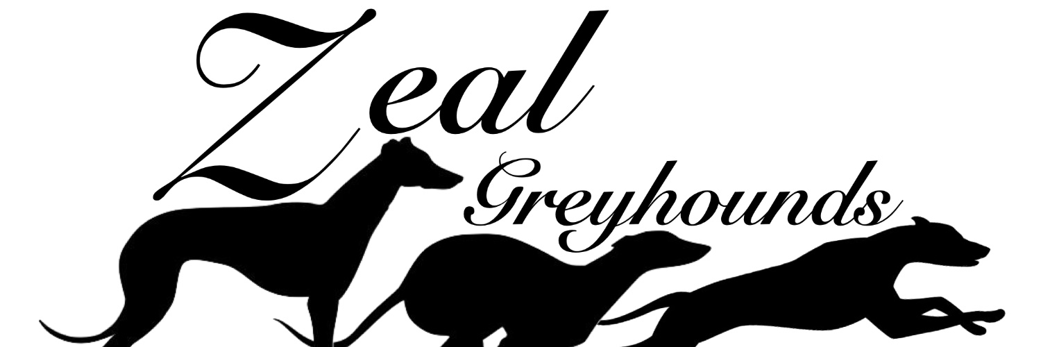 DragonBill's profile banner image