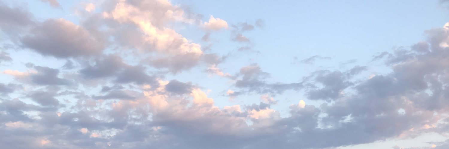 Carlee Lane Montgomery banner