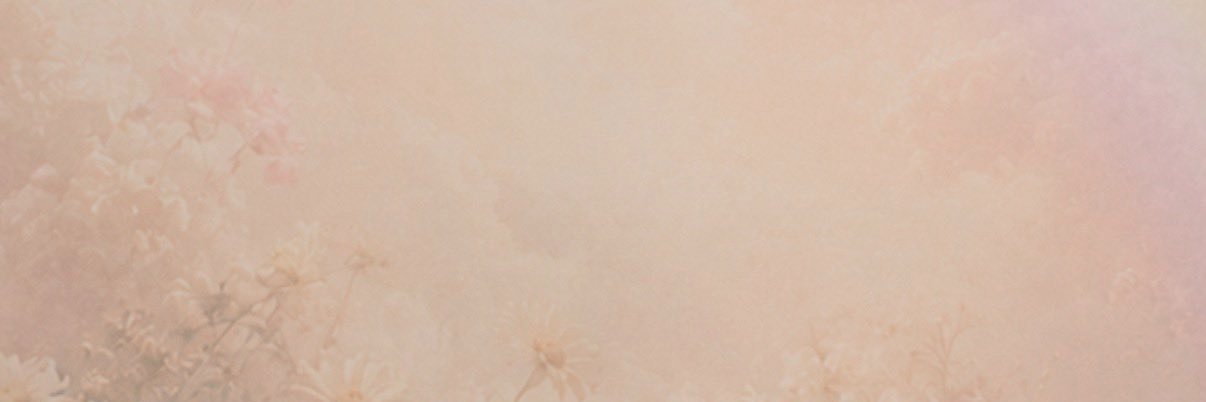 imperryland's profile banner image