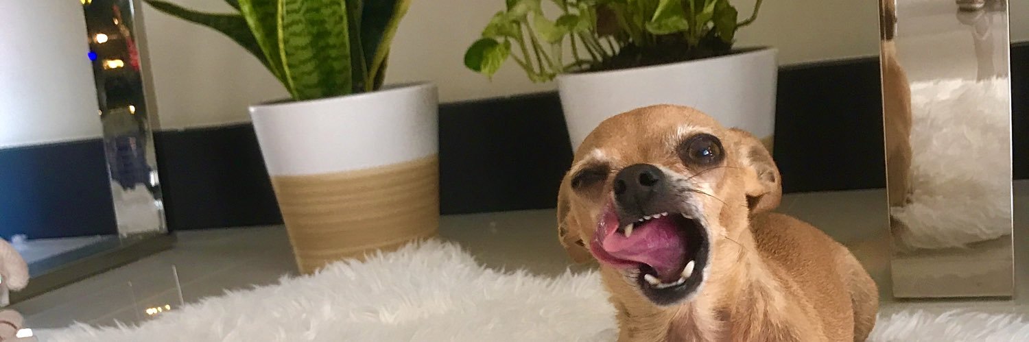 MelissaBelloxo's profile banner image