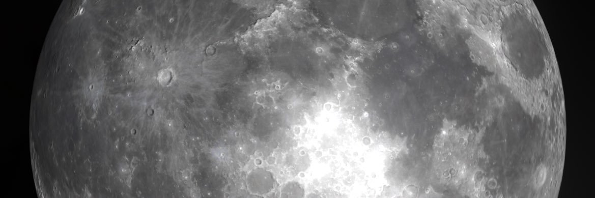 TrautmannGi's profile banner image