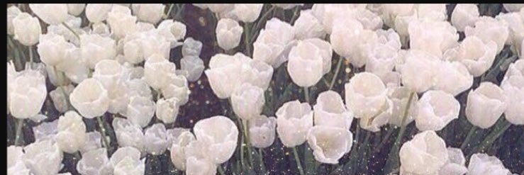 kt____3021's profile banner image