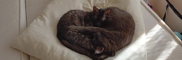 Dragon19952010 Profile Banner