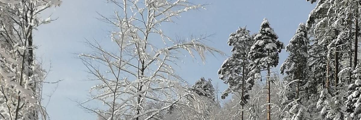 GrueniP's profile banner image