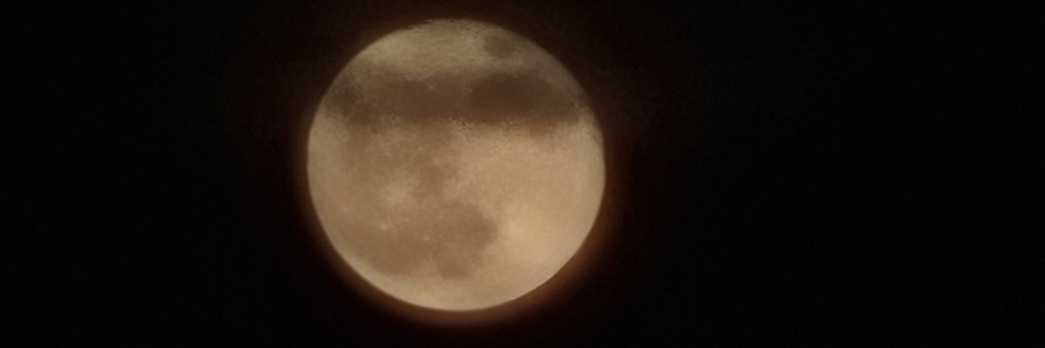 JuliaHaggler's profile banner image