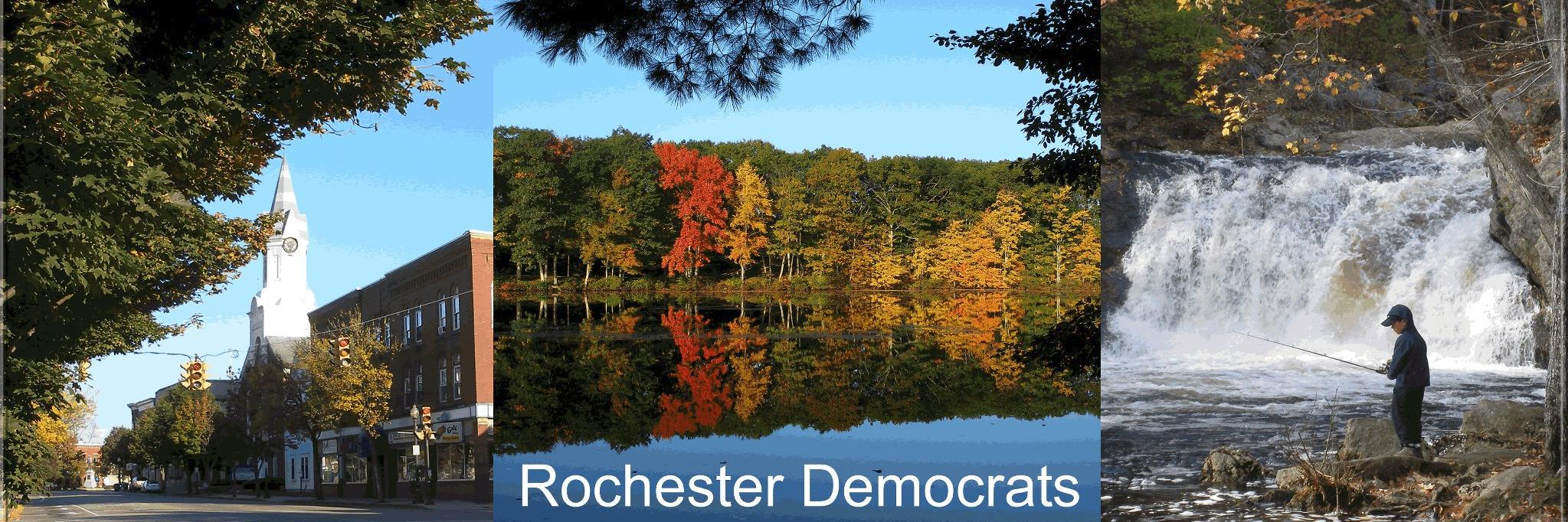 rochesternhdems's profile banner image