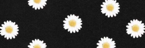 DressedSoCute's profile banner image