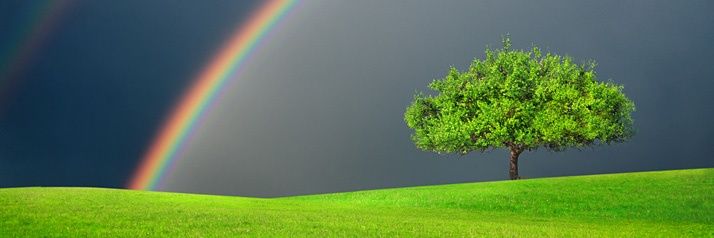 fc3523bb985d45d's profile banner image
